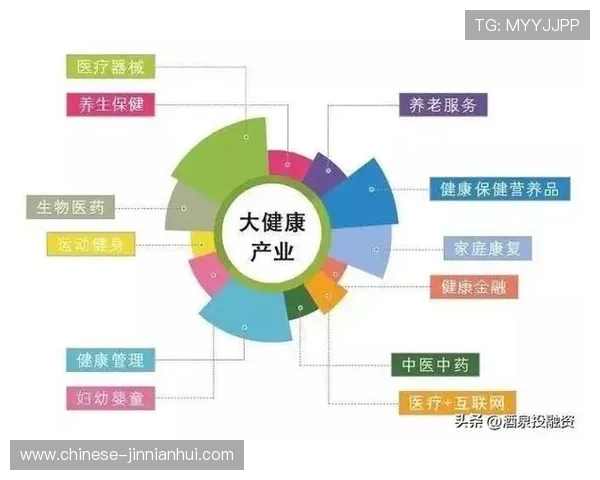 切尔西俱乐部最新估值揭秘及未来发展潜力分析